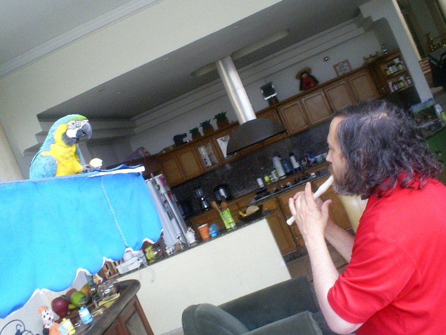 parrot4.jpg